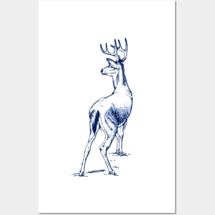 Curious Deer (blue) Posters and Art